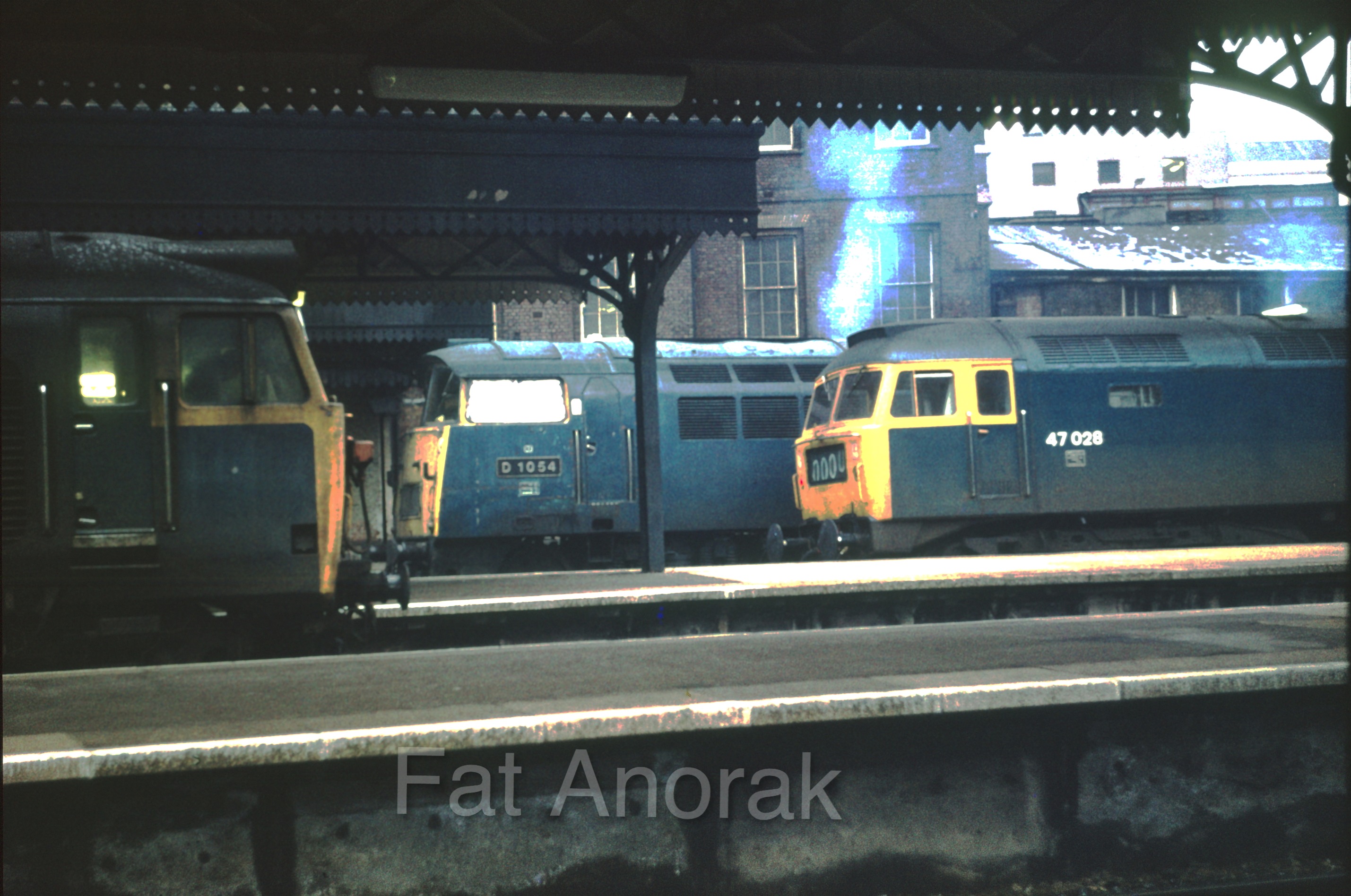 100117 D1054 47028 50049 PAD 5.10.76 copy.jpg