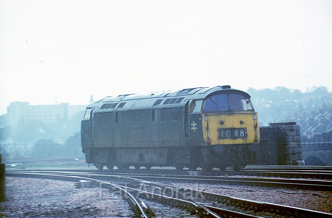 100208 D1048 PLY 18.10.76 copy.jpg