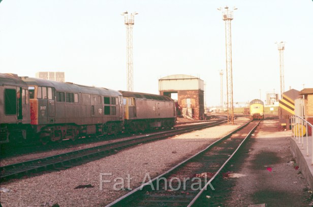 31117 47251 37188 CF copy-2.jpg