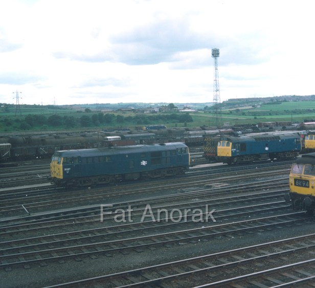 31127 25300 HM 7.75 copy.jpg