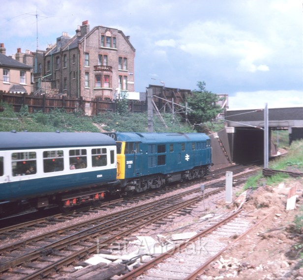 31195 wood green 7.75 copy-1.jpg