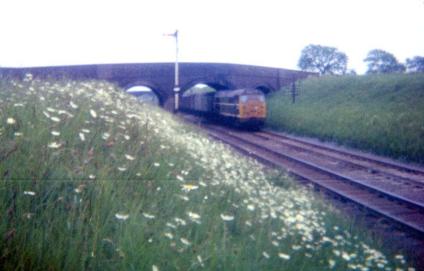 class 31 down goods b ped 1968.jpg