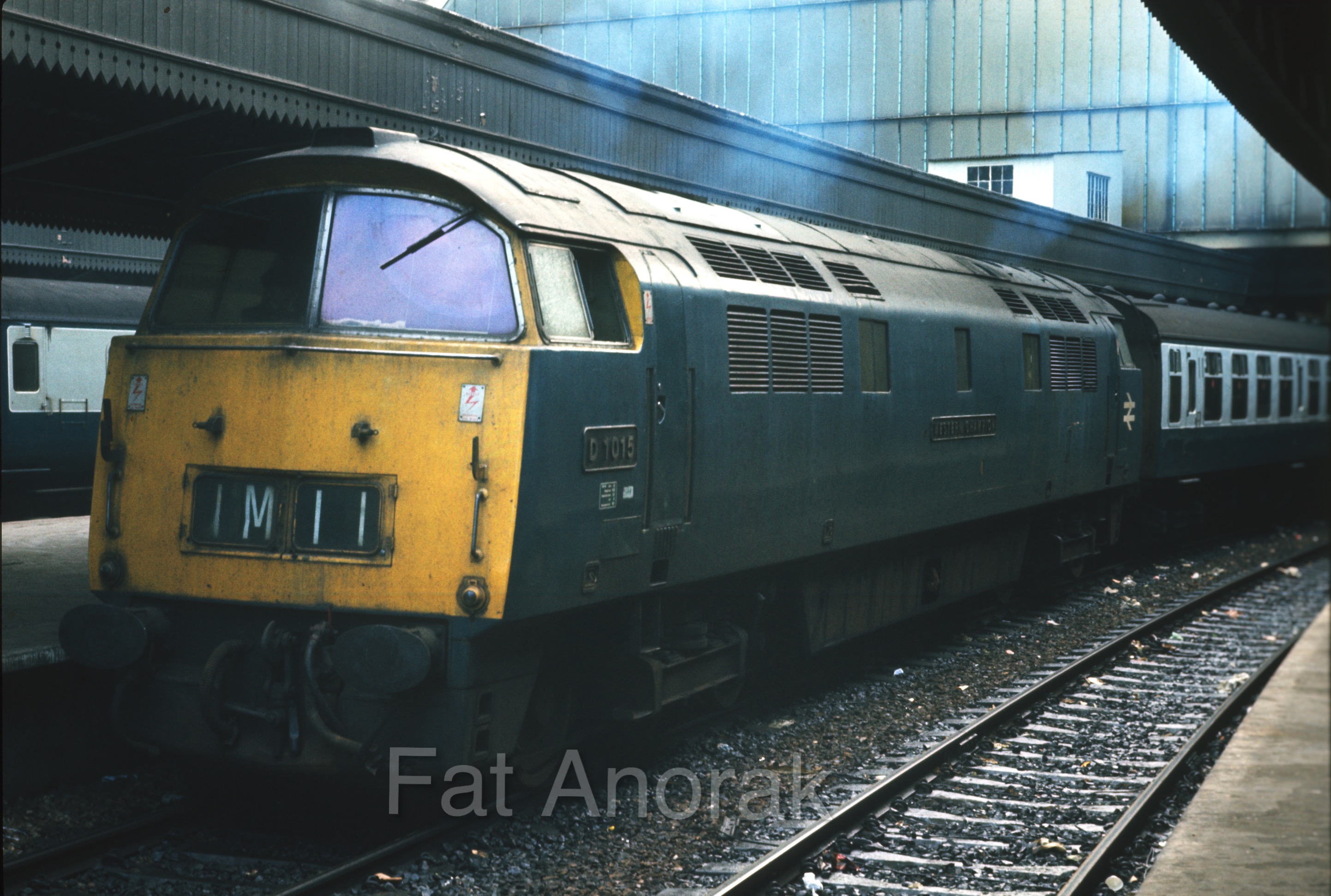 d1015 paddington 1970s copy-1.jpg