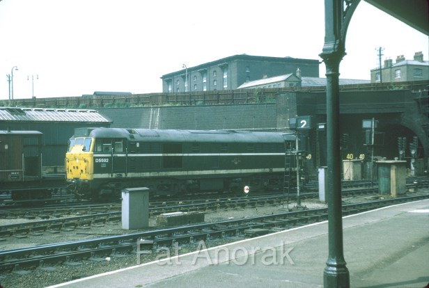 D5592 KX 15.6.69 copy.jpg