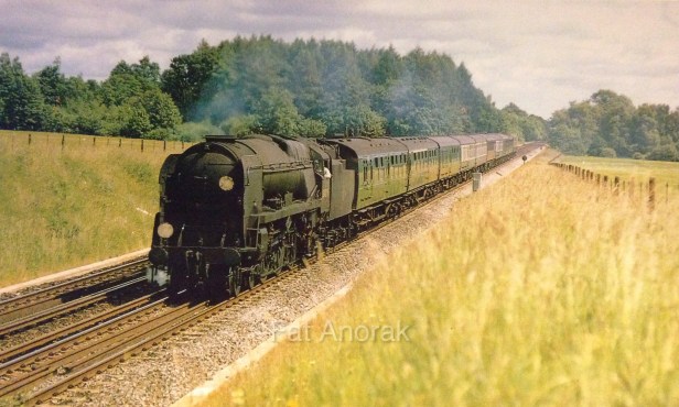 s34025 litchfield 2.7.67 copy.jpg