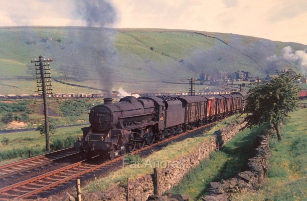 s44825 tebay 7.67 copy.jpg