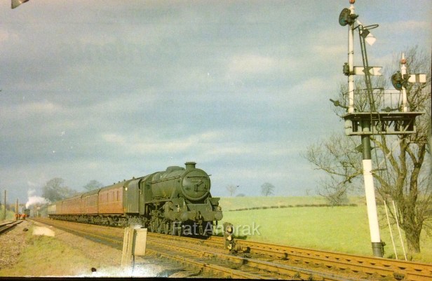 s45116 shrewsbury 4.3.67 copy.jpg