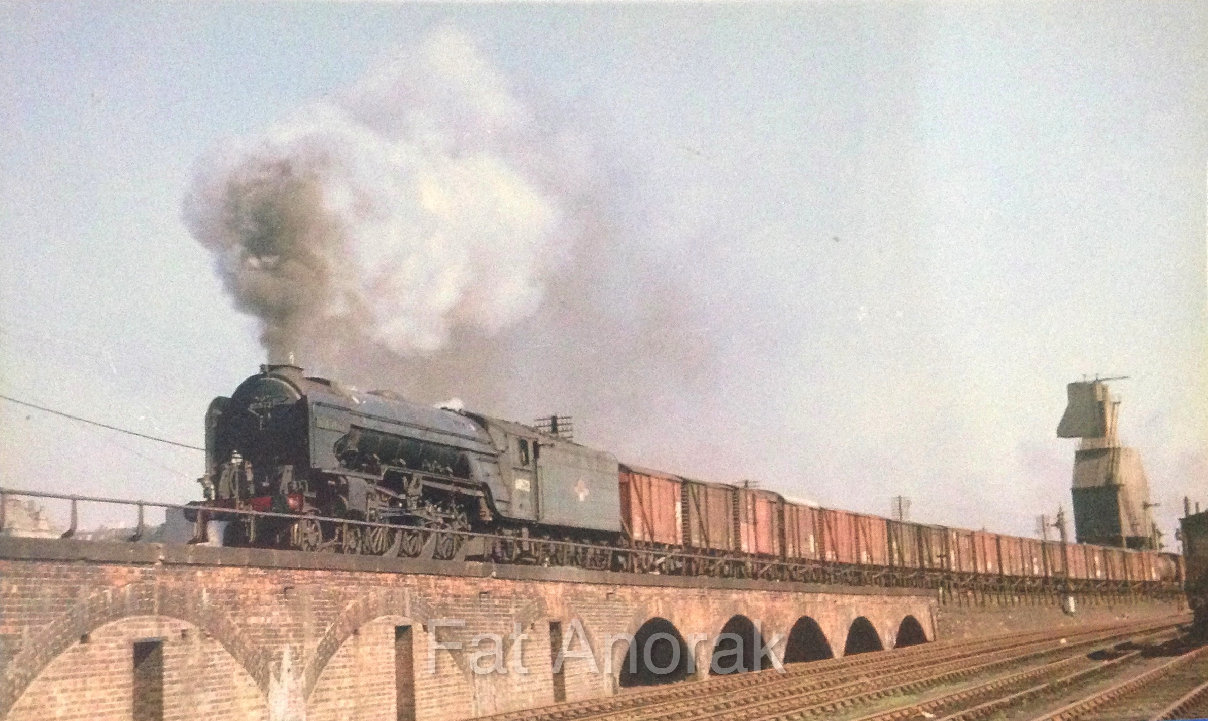 s60532 dundee 9.65 copy.jpg