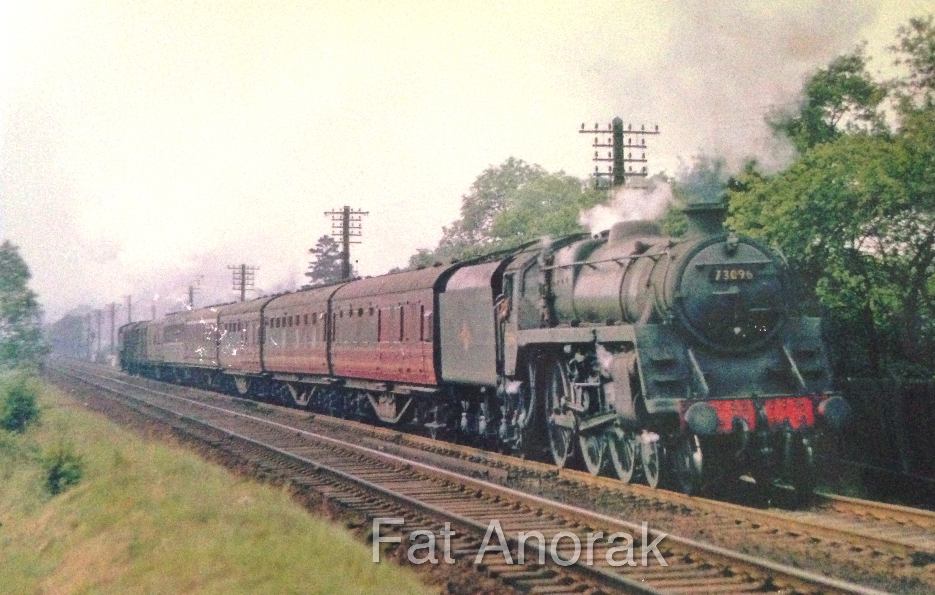 s73096 lickey 1.57 copy.jpg