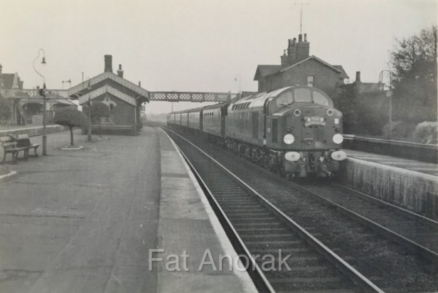 sandy d20* master cutler 1961 copy-1.jpg