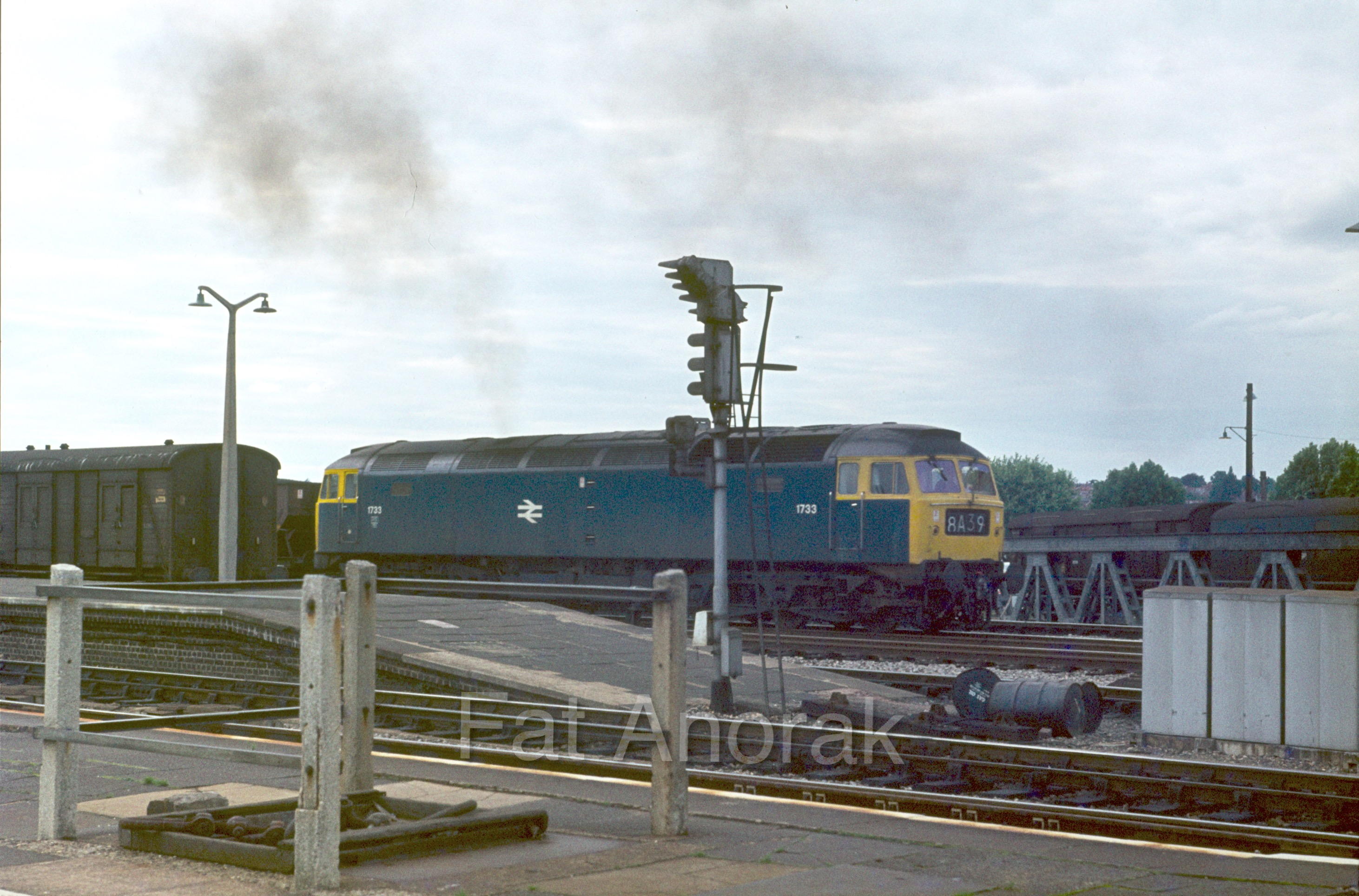 100033 D1733 8A39 RG 8.8.73 copy.jpg