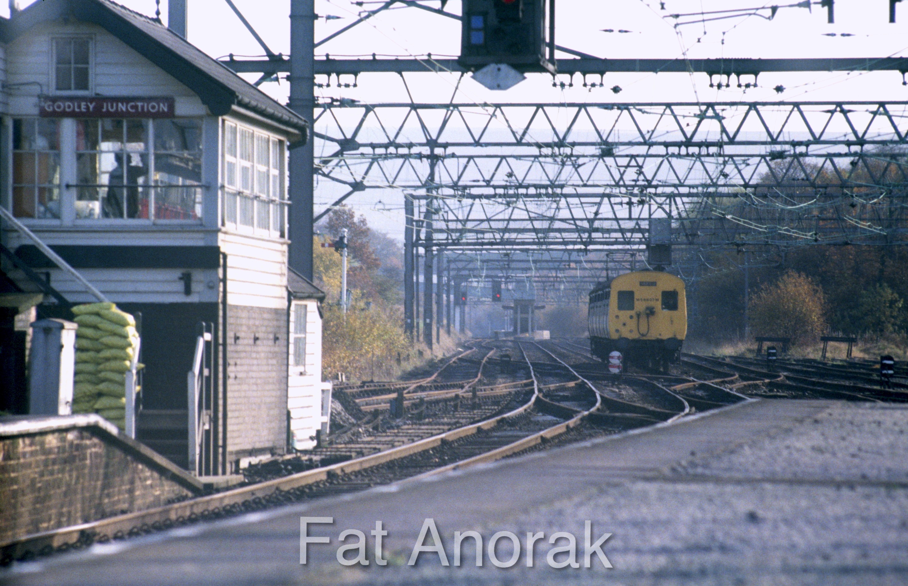 100556 M59607M GODLEY 6.11.81 copy.jpg