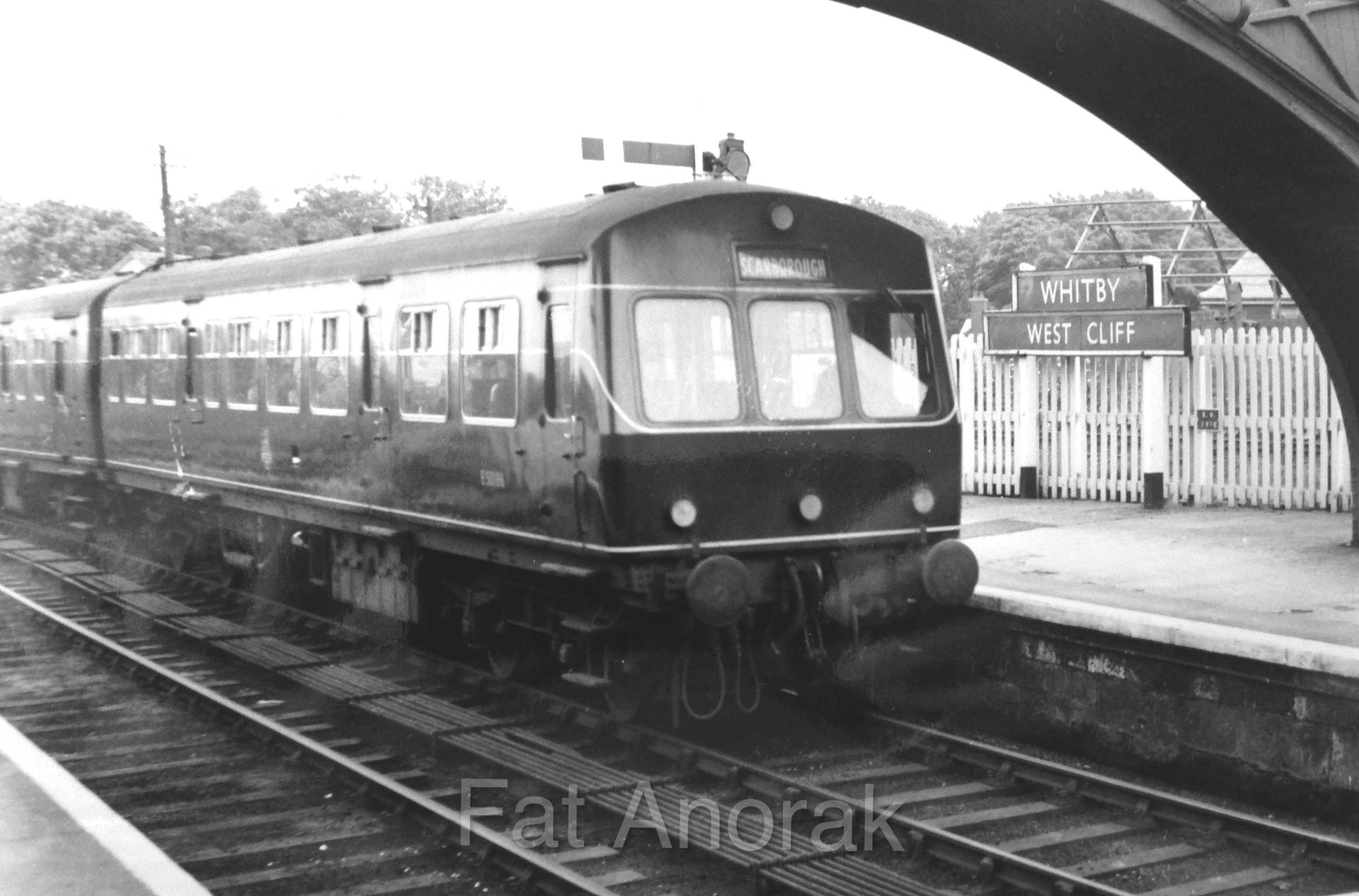 e50186 whitby west cliff copy-1.jpg